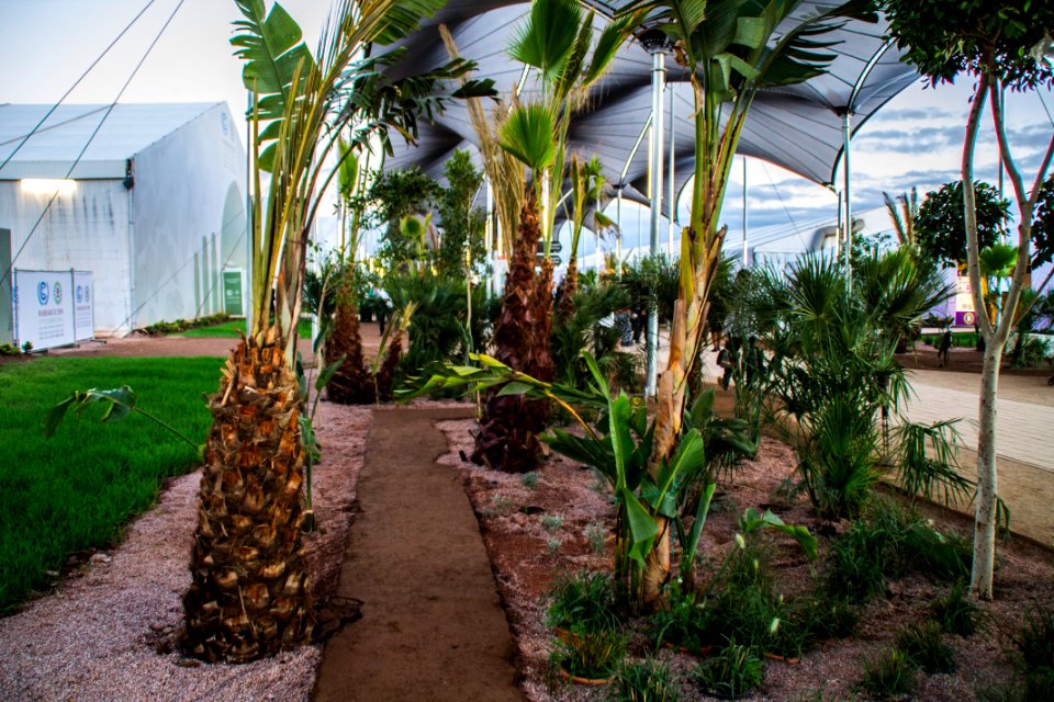 COP22 in Marrakech