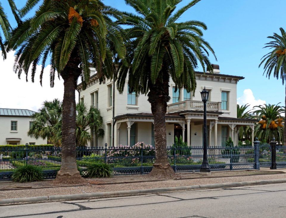 Henry Rosenberg Home
