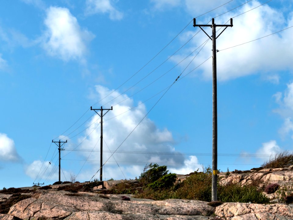 Telephone poles in south Kolleröd 2 photo