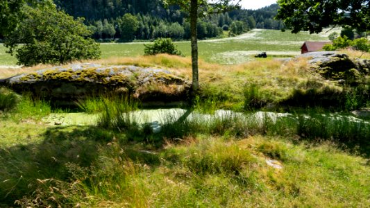 Water cistern and view at Röe castle photo