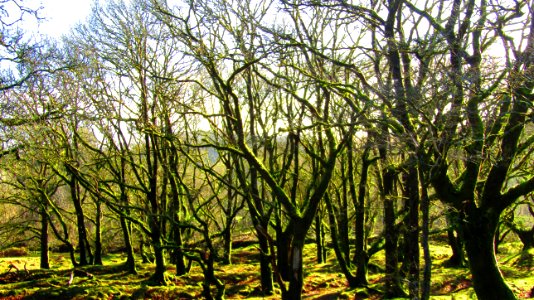 Burrator Reservoir, Dartmoor National Park
