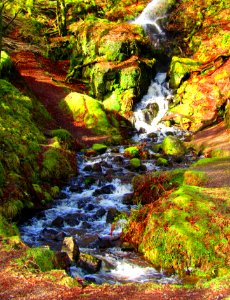 Burrator Reservoir, Dartmoor National Park photo