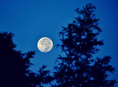 Moon 01