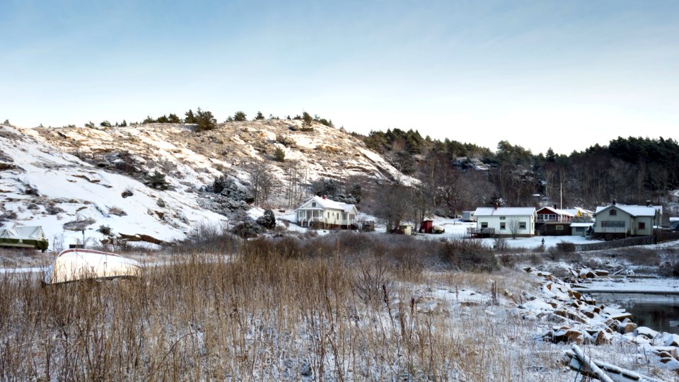 Loddebo houses in winter photo
