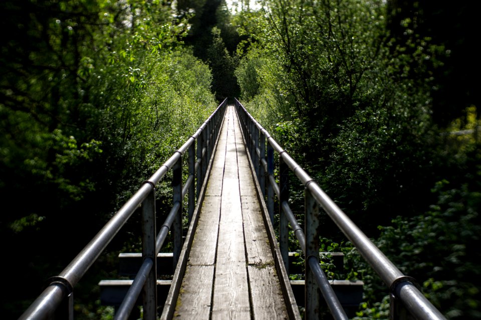 bridge at Wapato Park