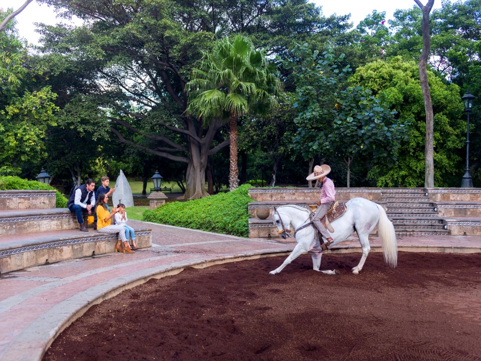 Hacienda Centenario