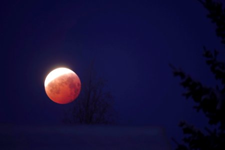 Red Moon 6