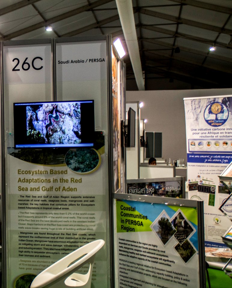 COP22 in Marrakech