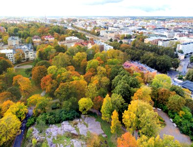 Colours of Autumn in Turku