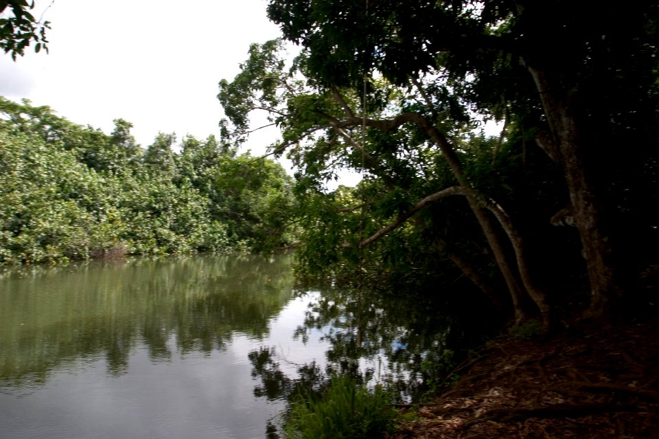 Kipu Ranch Adventures