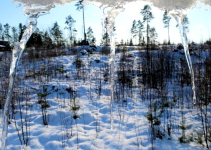 Icicles 9