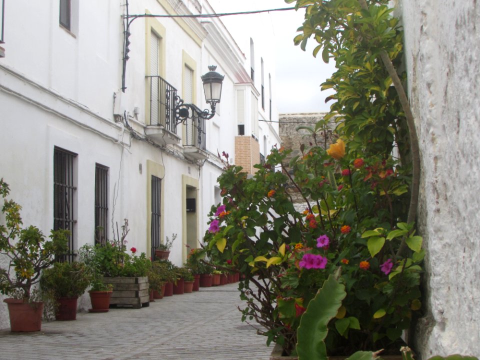 Barrio del Moral. Tarifa (Cádiz)
