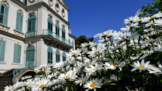 Park Schloss Wilhelmsthal
