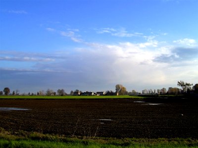 Cascina Lovera - Brembio photo