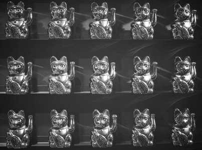Beware of the cats.