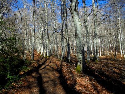 Puy de Paugnat 3