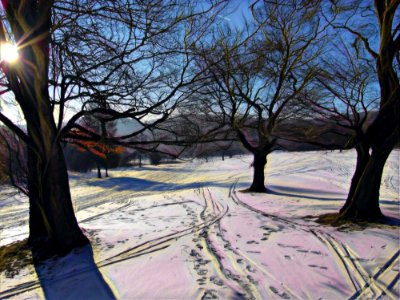 snow traces color photo