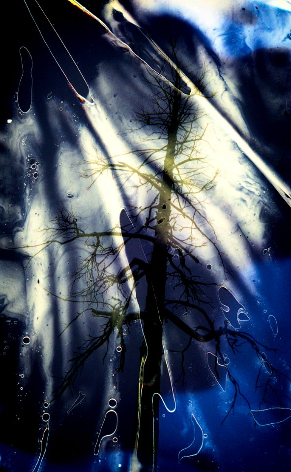 Dart its bright beams