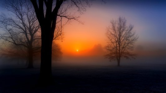 Sunrise in fog photo