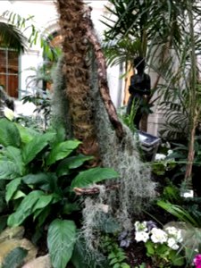 botanic garden