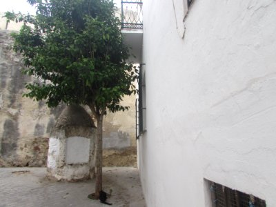 Calle Pozo. Tarifa (Cádiz)