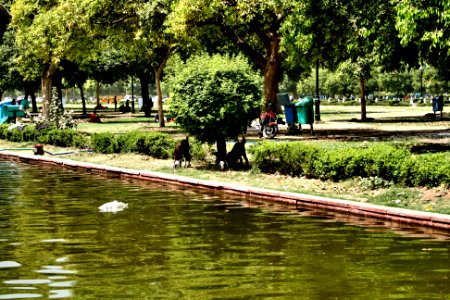 Lake in New Delhi