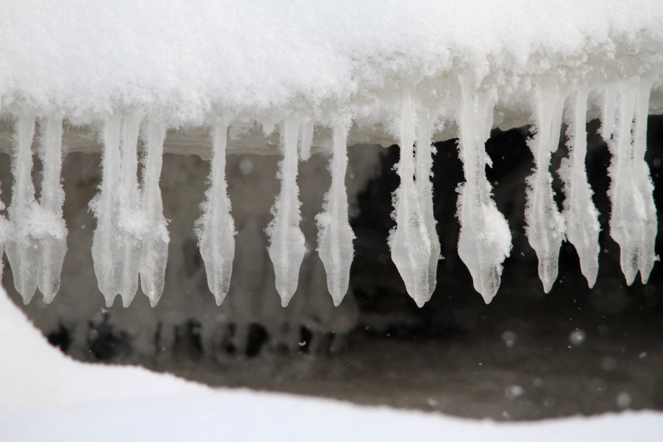 Ice feathers