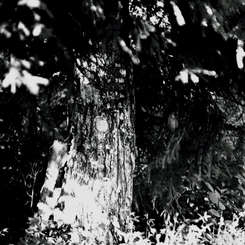 r002-005