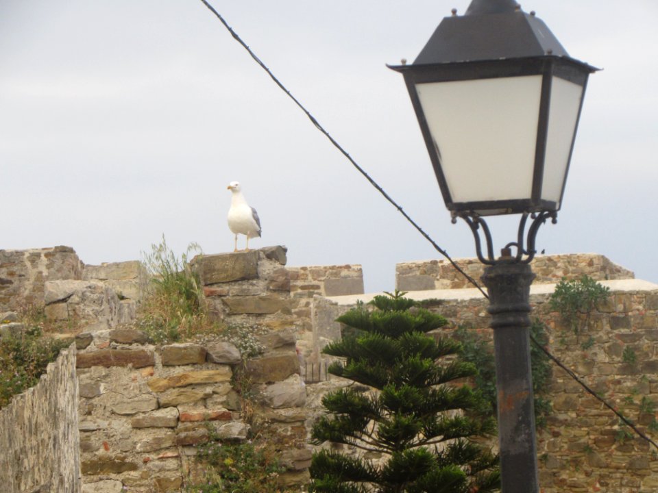 Antigua muralla de la ciudad de Tarifa.