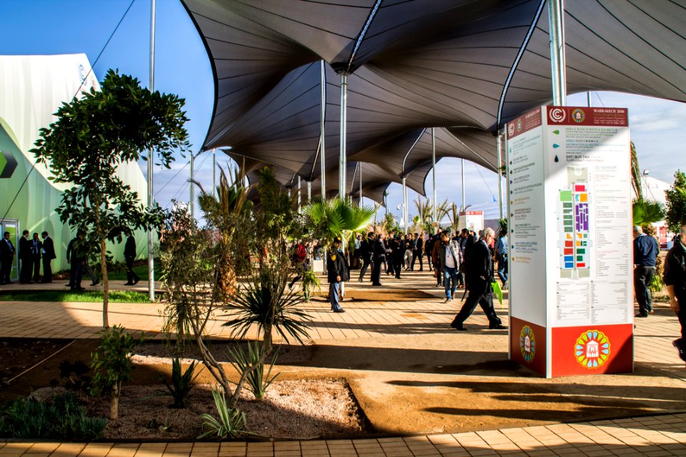 COP22 in Marrakech