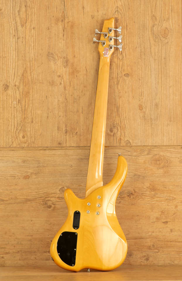 Eletric Bass Strinberg CLB45A - 2