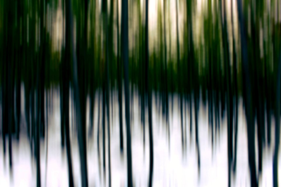 Lines