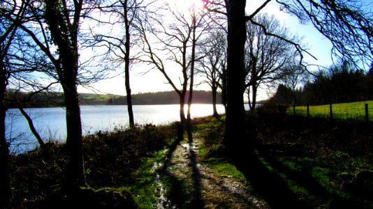 Burrator Reservoir, Dartmoor National Park