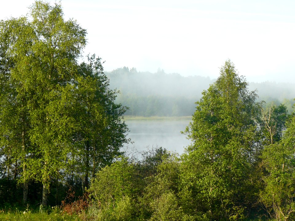 P1060256