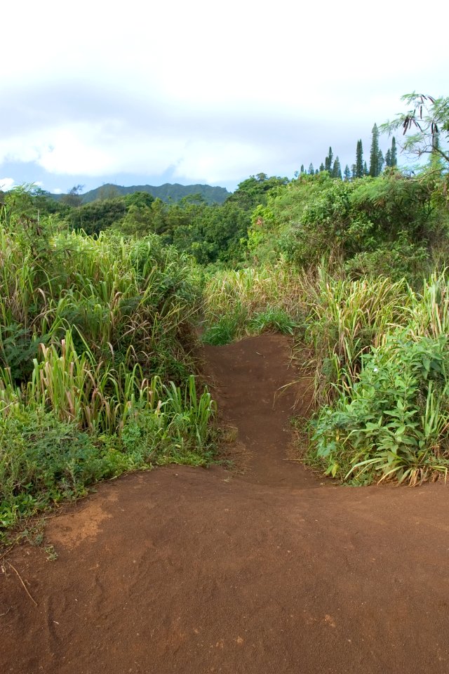Kipu Falls, Kipu, Kauai