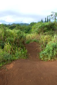 Kipu Falls, Kipu, Kauai