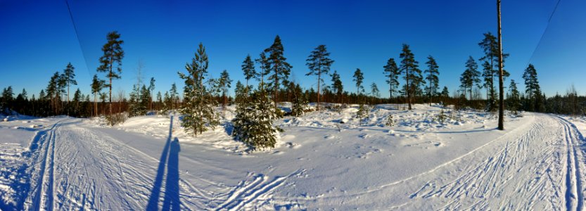 20180205 Cross country skiing track Aura Finland