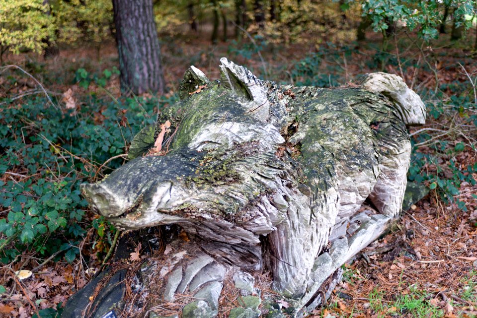 Statue Wild Boar