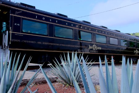 tren tequila