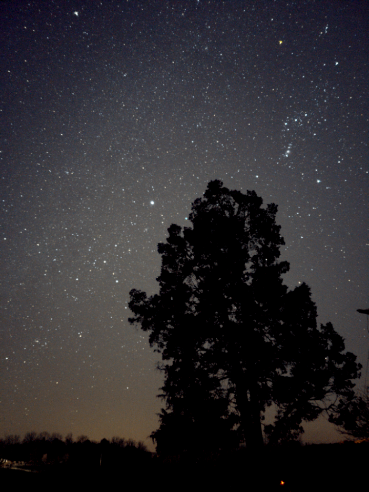 PXL 20201210 071835183.NIGHT