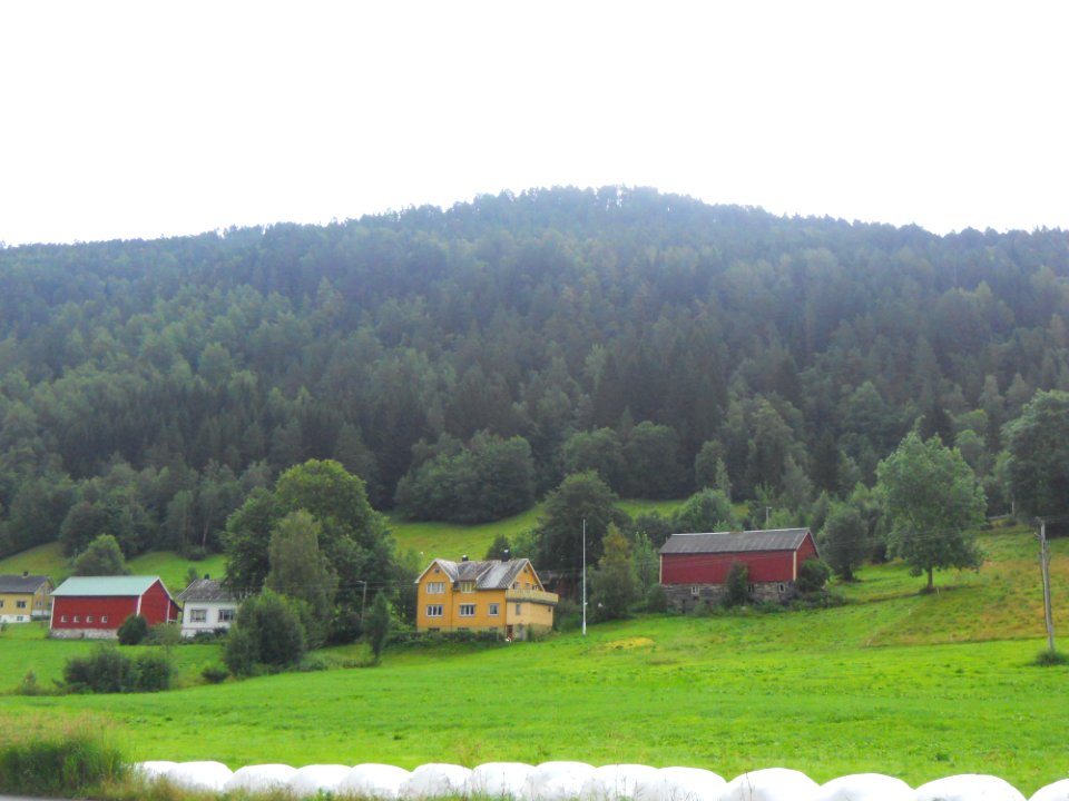 Fiordos Noruegos (Noruega)