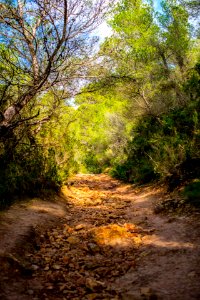 Ibiza through my eyes photo