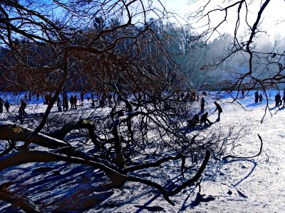 people on ice