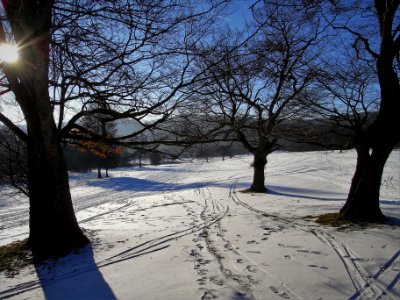 snow traces orig. photo