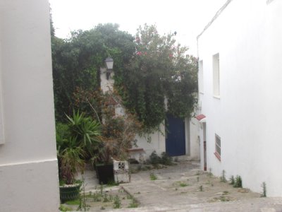 Bajada del Macho. Tarifa (Cádiz) photo