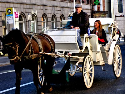 Dublin horse cab photo