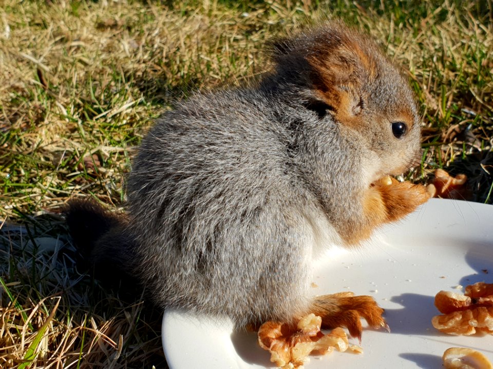 20180426 Dinner time