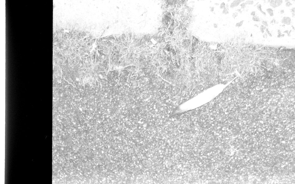Black&WhiteFilm1016
