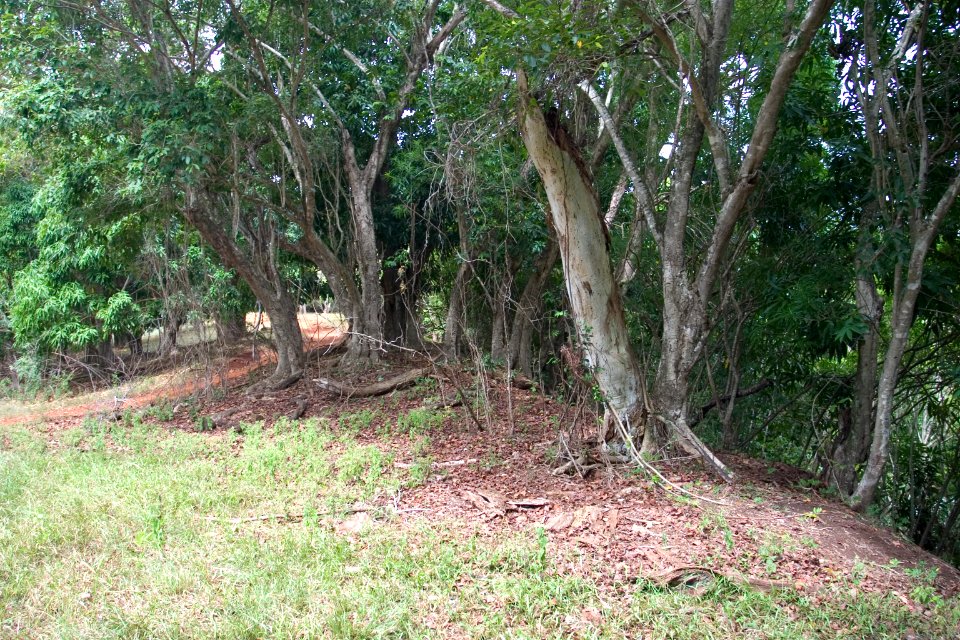 Kipu Ranch Adventures