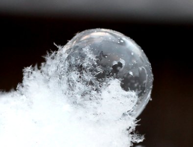 A Frozen and broken bubble photo